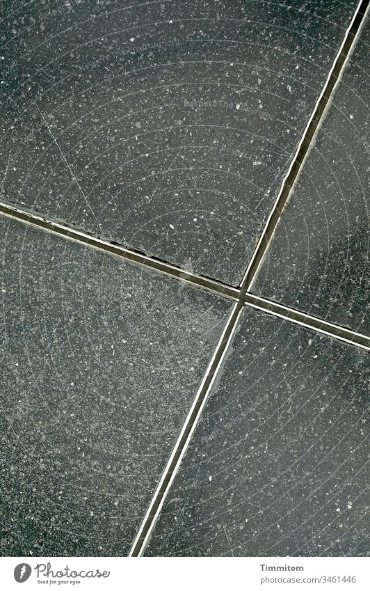 A point of view Floor covering Stone slab rectangular Edges Metal Gray Silver Abrasion Scratch mark Position Interior shot Deserted lines Colour photo Detail