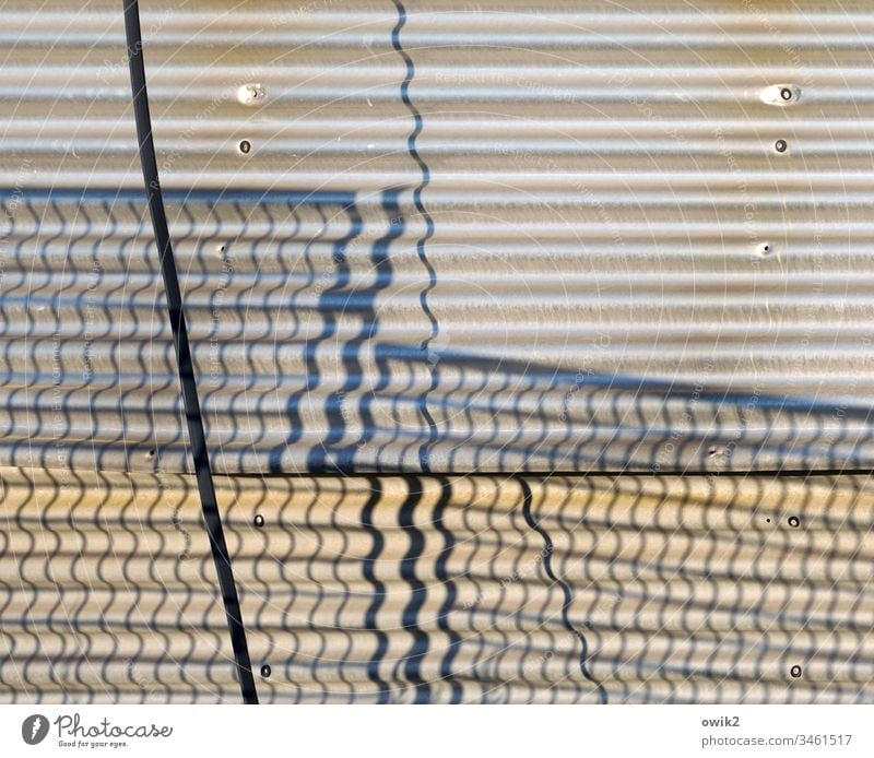 undulated wellasbest Hut Wall (building) Facade Fence Grating lattice fence Shadow shadow cast Waves crimped Cable Structures and shapes Detail Building