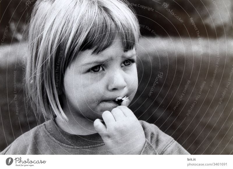 Girl eating daisies in the garden Playful Sweet Life upbringing Parenting Children's game portrait Think Concern anxious Sadness sad Infancy Human being