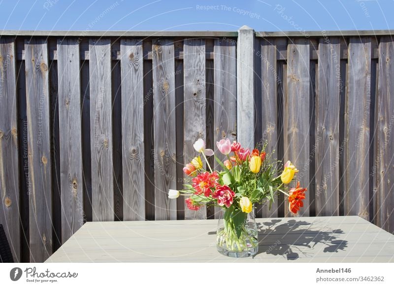 Bright springtime bunch of colorful flowers in a glass vase on garden table near wooden fence on a sunny day bright beautiful beauty bloom bouquet plant nature