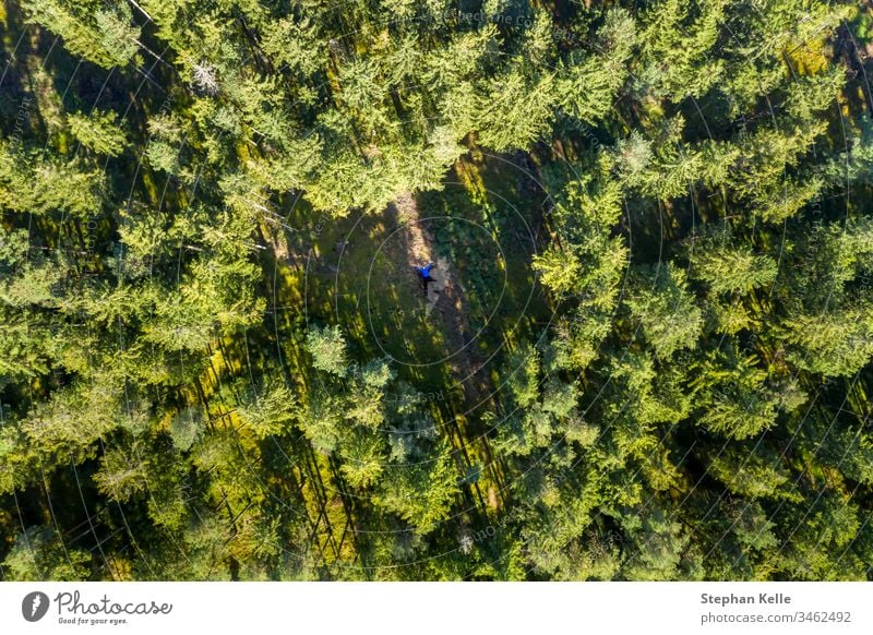 In the middle of the forest a hole between the treetops in the shape of a heart, a man lies inside Forest drone copter Heart Lie Nature plan Bird's-eye view