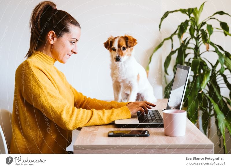 young woman working on laptop at home, wearing protective mask, cute small dog besides. work from home, stay safe during coronavirus covid-2019 concpt pandemic