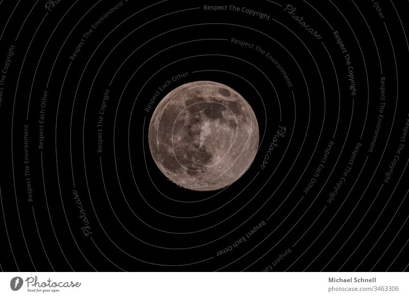 Full moon in the black sky Moon Full  moon Circle Round Gray Total Circular Stars at night Night sky Copy Space bottom Copy Space top