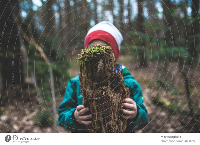 Child with deadwood in hand Green Foliage plant Nature outdoor leaves Hand Retentive stop Ground Coniferous trees Coniferous forest Pine cone pines pine forest