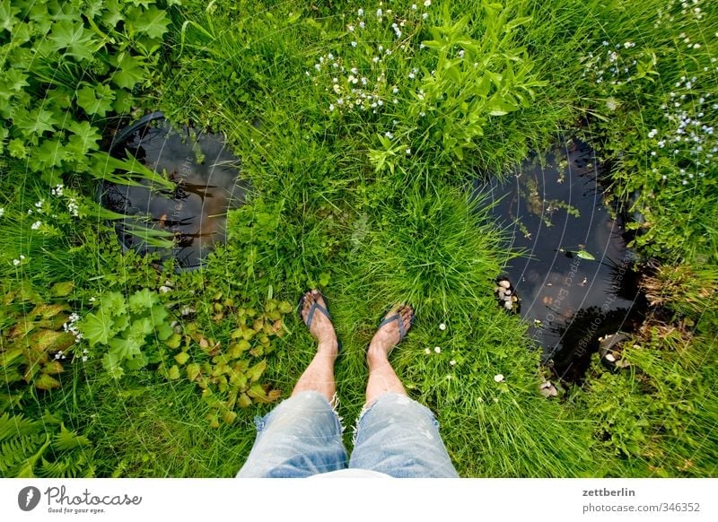 water property Relaxation Garden Human being Masculine Legs Feet Environment Nature Plant Summer Flower Grass Blossom Park Meadow Pond Stand Growth