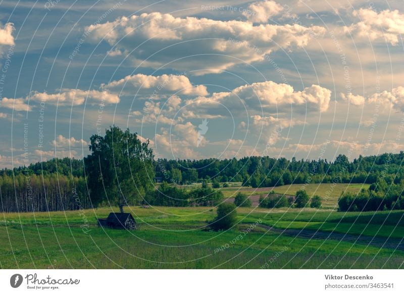 Landscape with meadows and fields of Latvia journey farmland perspective direction sunlight ground lawn scene cloudscape travel horizon dirt day grass road