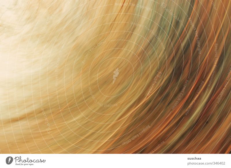 I haven't got one Art Work of art Brown Inspiration Dynamics Stripe Rotate Movement Subdued colour Exterior shot Experimental Abstract Pattern