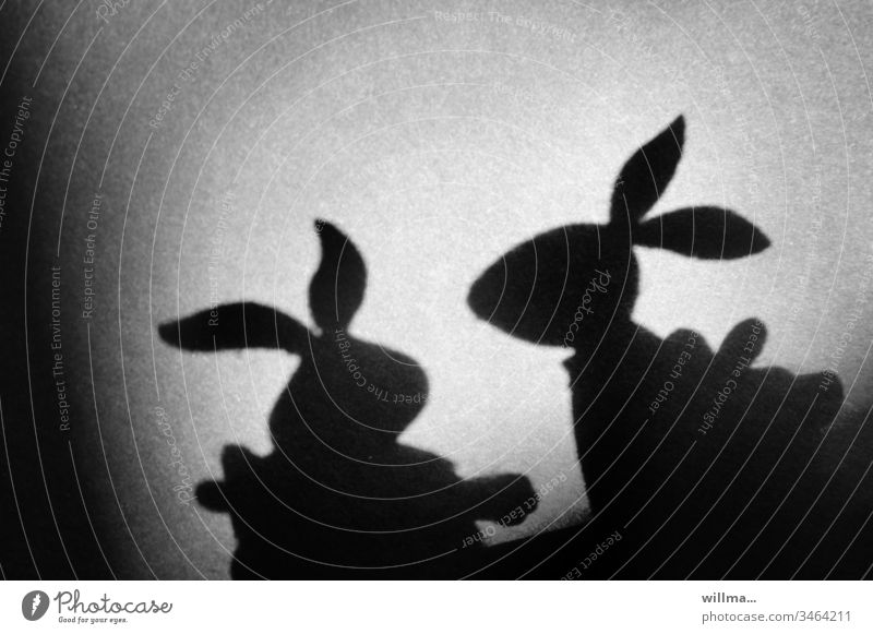 Easter Bunny Team Meeting Oserhase Easter bunny pair Shadow play Silhouette Light and shadow silhouette Hide eggs Black & white photo Tradition 2 Easter bunnies