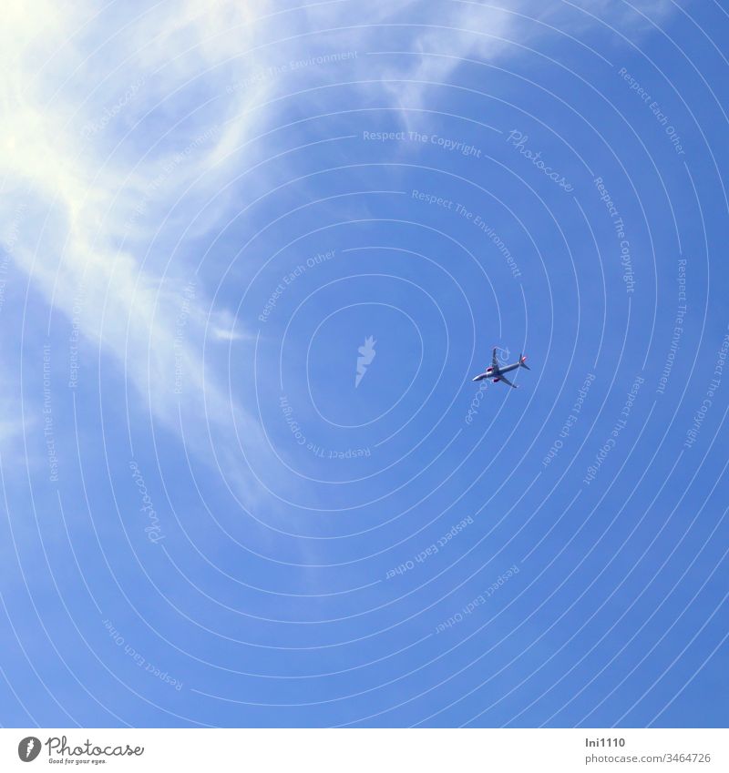 Airplane in front of blue sky with cirrus clouds height vacation travel Freedom Blue sky Cirrus through the air in the sky sunshine scheduled plane Wanderlust