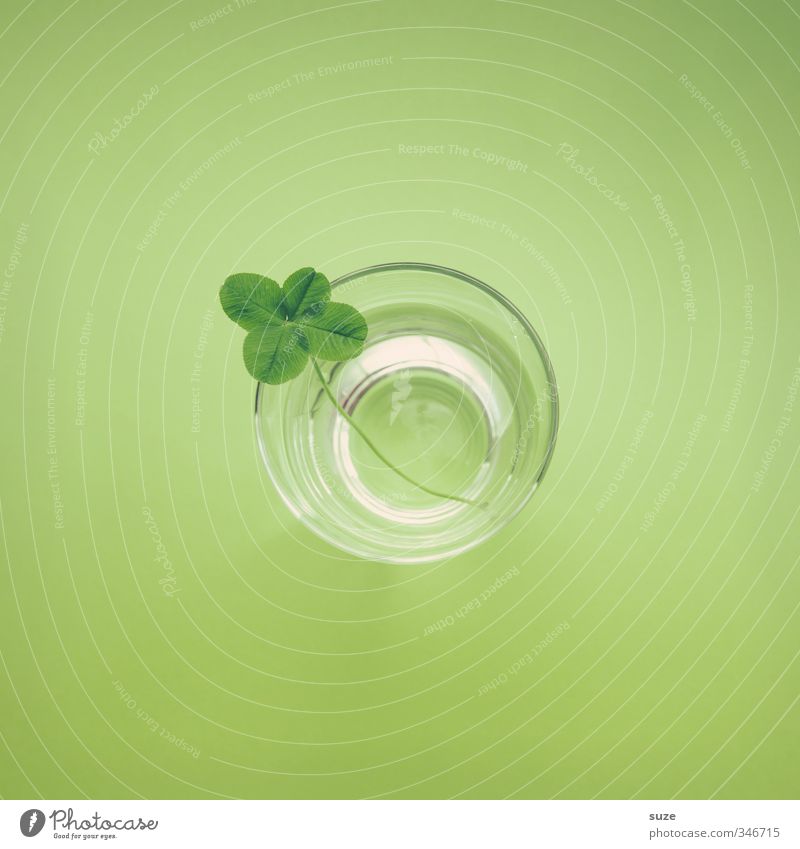 lucky water Beverage Glass Design Happy Environment Water Leaf Simple Friendliness Small Natural Cute Round Juicy Green Spring fever Thirst Idea Creativity