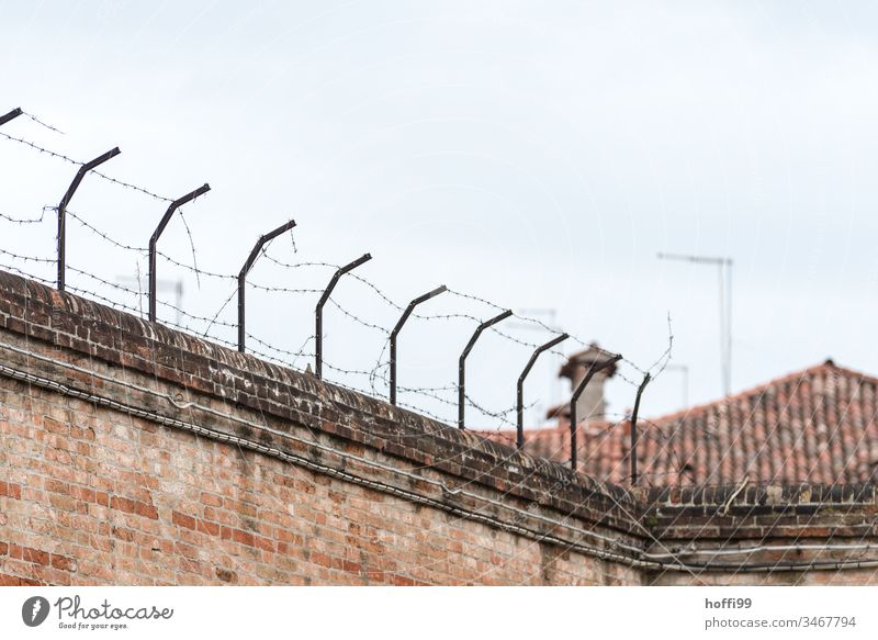 Barbed wire on old wall Fence Barbed wire fence Courtyard Border Protection Dangerous Metal Deserted Thorny Threat Barrier Safety Bans Wire netting fence