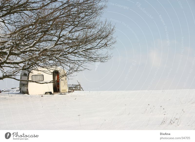 Winter Camping Caravan Cold Tree February White Mobile home Nature Old Living or residing Beautiful weather Snow Branch Sky Blue automobile camper sunny