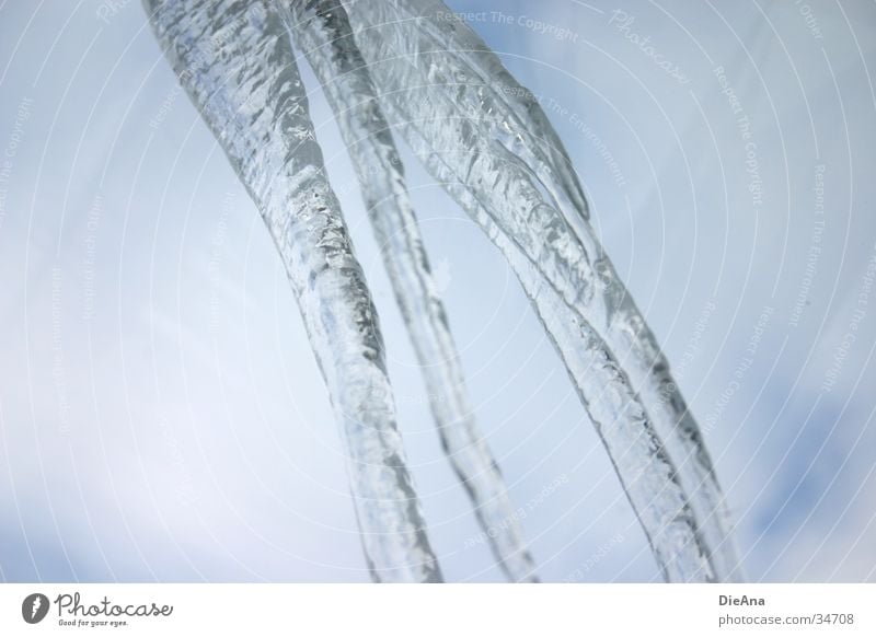 Icicle Winter Frozen Cold Gray Sky Water Blue hang down