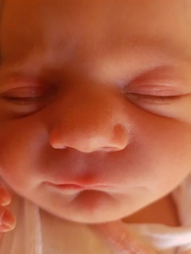Baby face total Newborn newborn child Child Birth Nose eyes Eyes Mouth Skin baby skin Sleep tranquillity