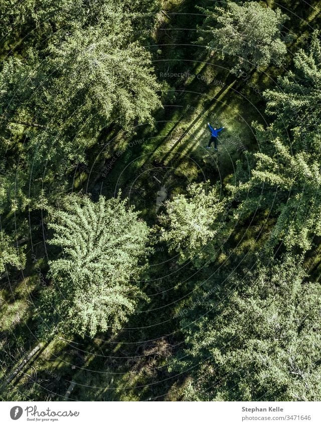 Top view at green trees of a forest in summer. drone above nature simple pure background day aerial copter top view light shadow Nature Exterior shot Landscape