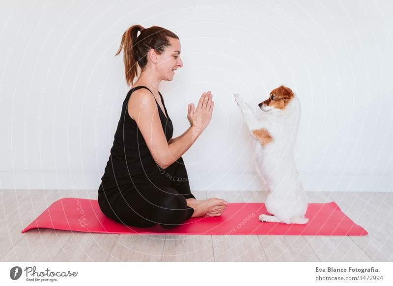 young woman at home doing yoga on a mat. cute small dog besides. healthy lifestyle concept praying pet jack russell together sport exercise female body indoor