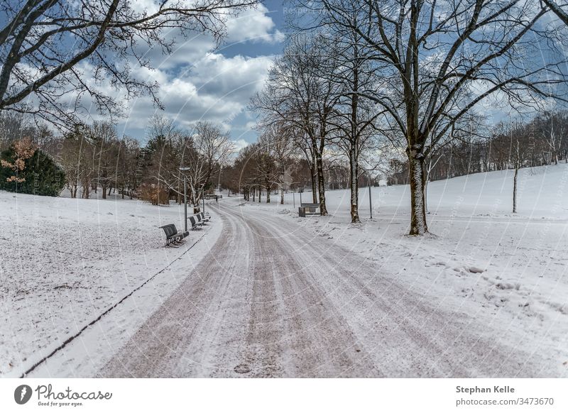 Winter in Munich, the way to the snow. winter munich park nature landscape sky clouds white cold climate environment nice beautiful season frozen bench outside