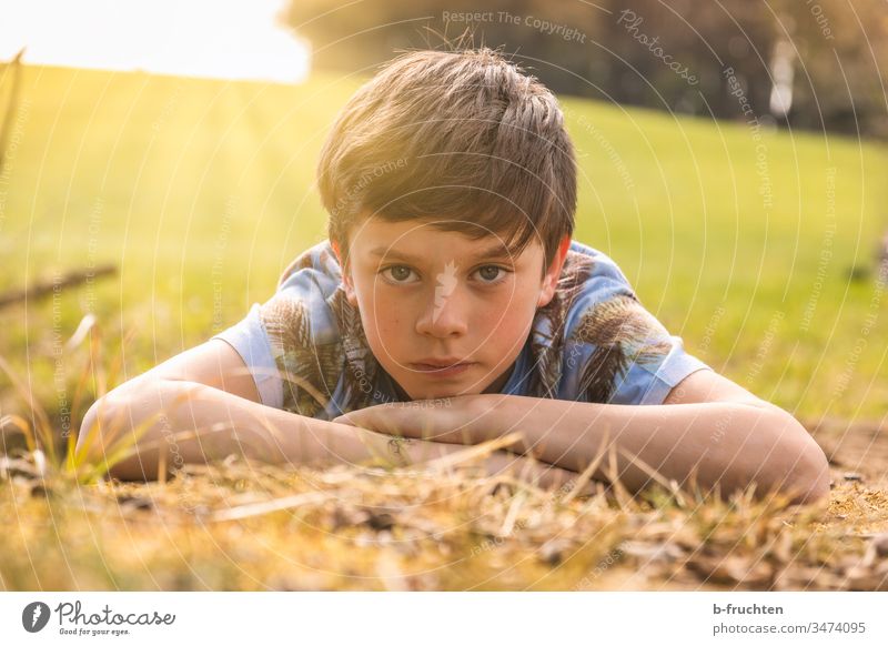 Child lying in the meadow, evening sun, portrait Lie Meadow Grass Summer Relaxation Spring Exterior shot Nature Green Colour photo Sunlight Contentment Calm Joy
