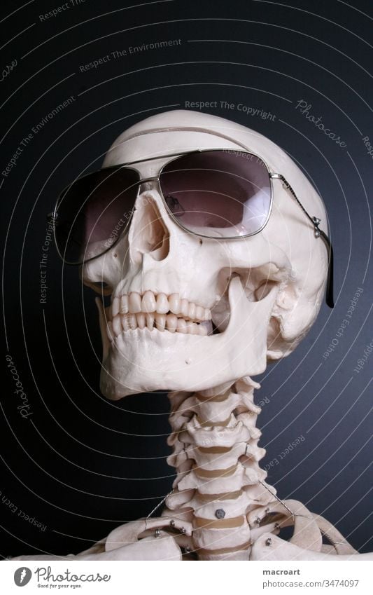 skeleton with sunglasses bones head skull dead death black human body skelett sonnenbrille schwarz tot tod kopf schŠdel knochen