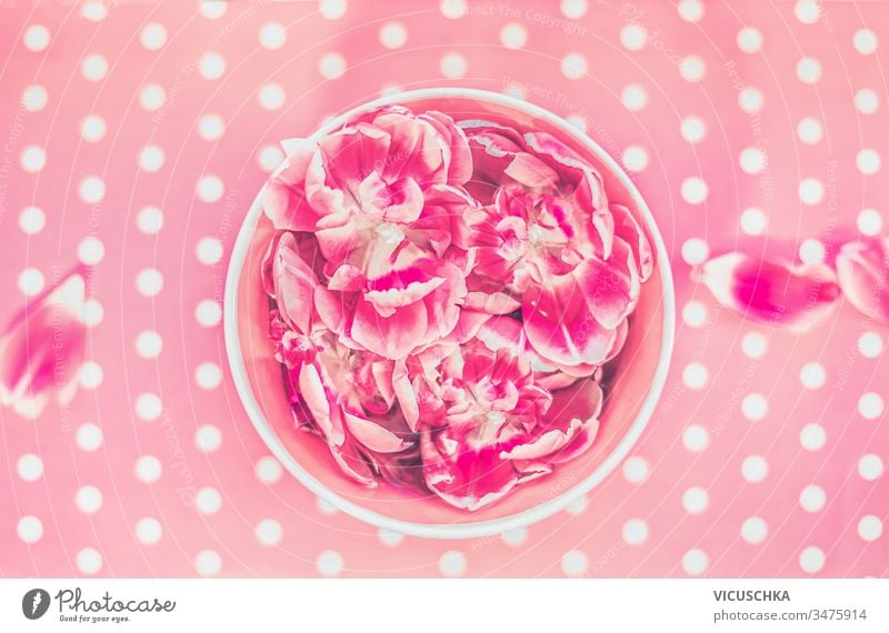 Water bowl and floating pink flowers on polka dot background, Top view water top view above aroma aromatherapy beautiful beauty blooming blossom blue clean