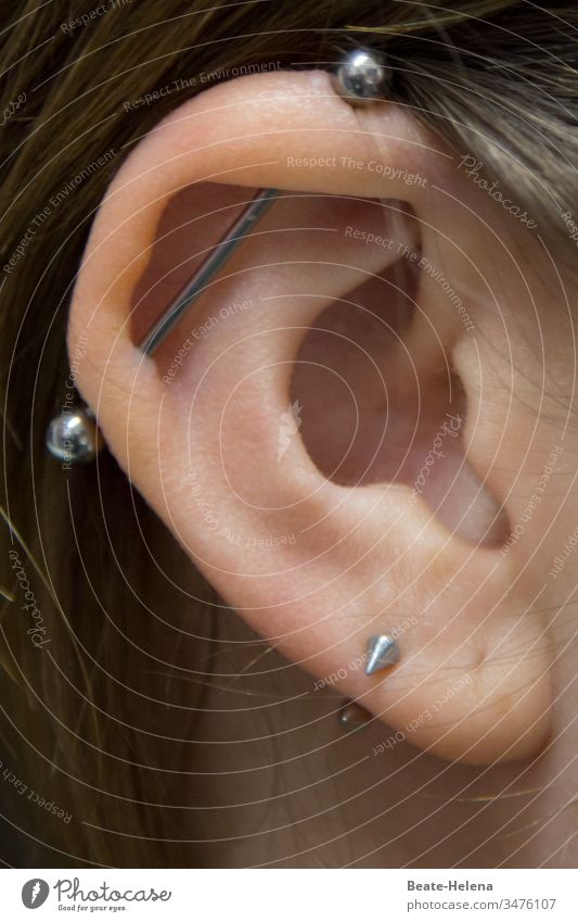 Be all ears: auricle with piercing Ear Outer ear Detail Ear lobe pierced Listening Close-up Skin Jewellery Human being ear hole