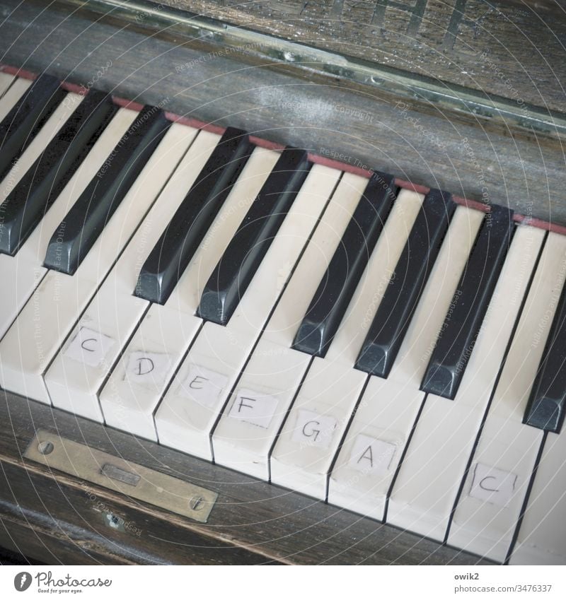Silent H Piano Old fumble Scale dusty Study Help Solutions Improvise Emergency solution tones out of tune Interior shot Detail Keyboard Play piano