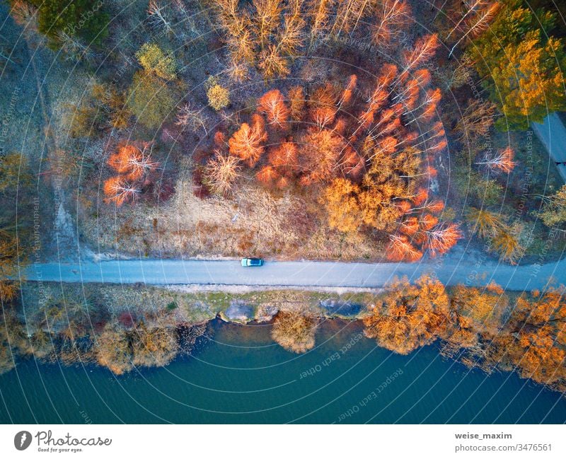 Car on a road, recreation zone top aerial view river lake spring shore park lakeside tree car willow water forest riverbank panorama rural day sunset evening