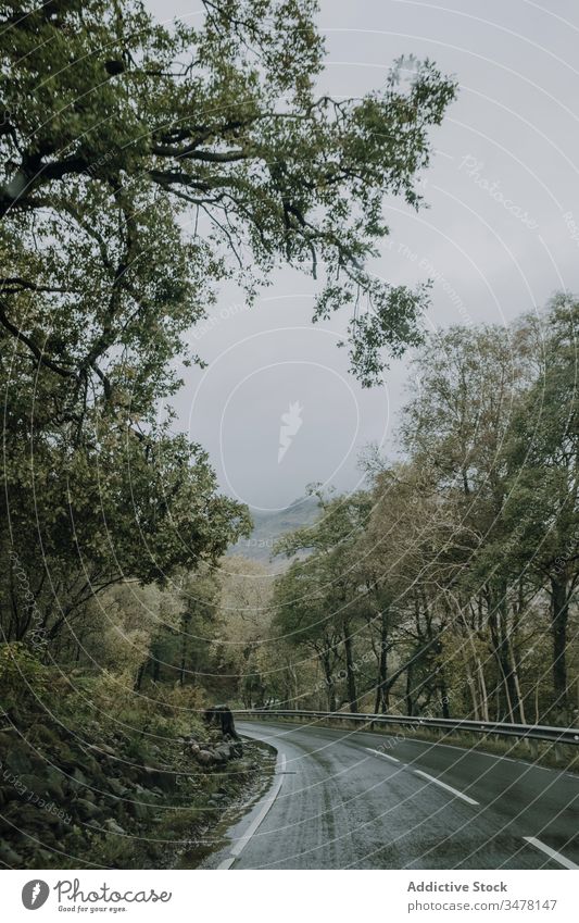 Country road among forest and mountains overcast gloomy cloudy wet tree curve countryside asphalt green branch nature travel trip scotland route environment