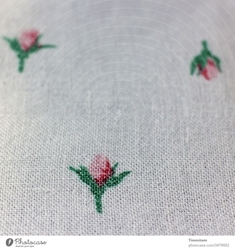 Table cloth from above tablecloth Handcrafts embroidered Flower Blossom leaves Red Green Old worth preserving plan Cloth White