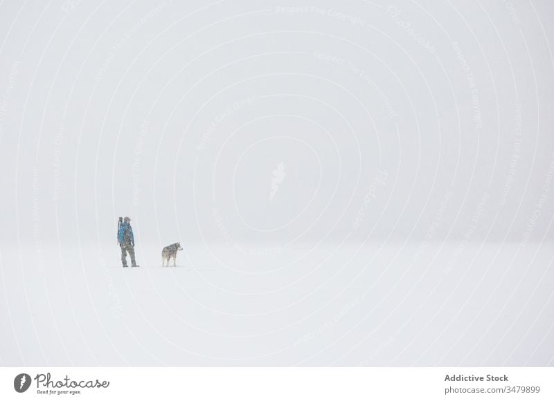 Man walking with dog in snowy stormy countryside man winter cold pet weather male frost nature friend white canine together purebred pedigree outerwear idyllic