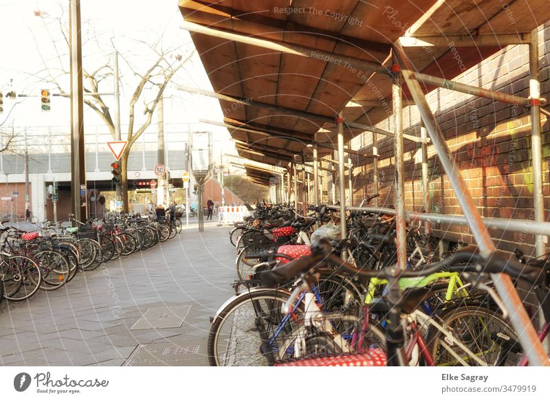 Bicycles - Bicycle racks in Berlin bicycles Street City Transport