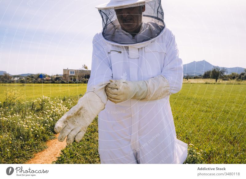 Beekeeper in protective gloves standing in field beekeeper uniform apiary work prepare put on professional grass green costume job white safety occupation tool