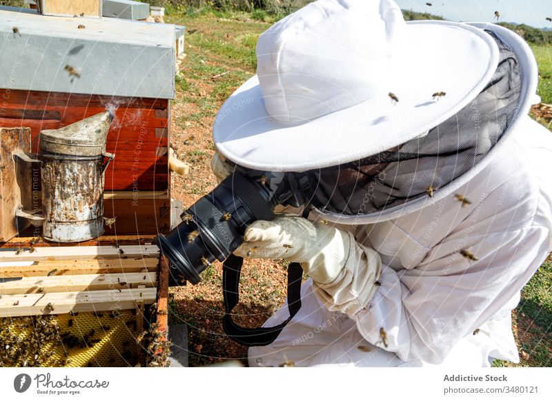 Beekeeper taking picture of beehive in apiary beekeeper take photo camera photography protect work wear shoot professional glove equipment costume memory job