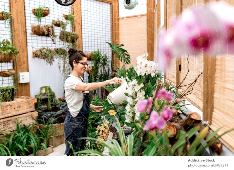 Woman watering flowers in indoor garden woman work plant botany gardener growth cultivate care female greenhouse horticulture flora small business owner fresh