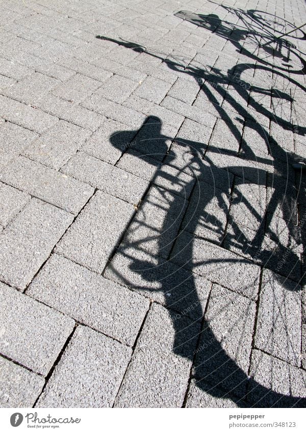 bicycles Leisure and hobbies Vacation & Travel Trip Summer Cycling Schoolyard Street Stone Gray Exterior shot Deserted Shadow Contrast Silhouette
