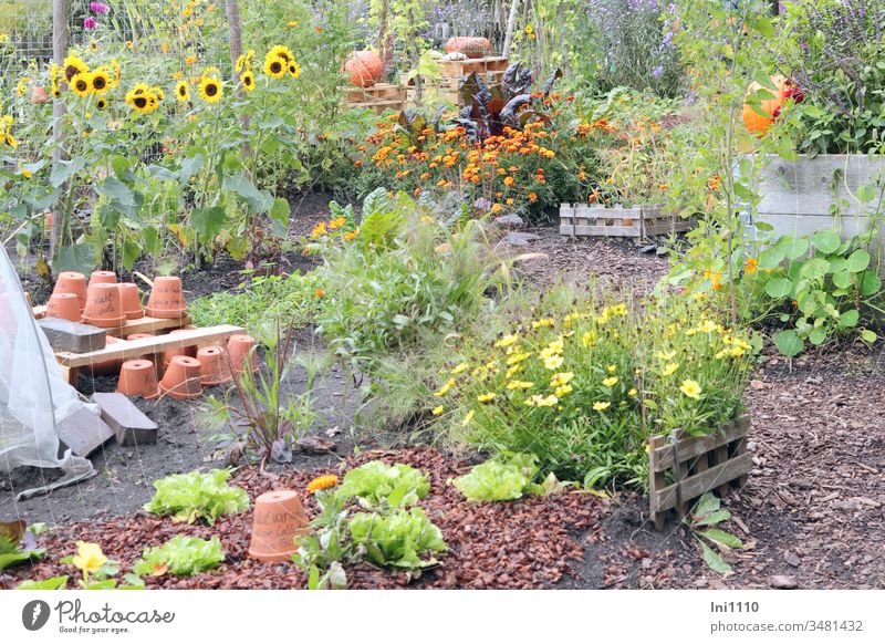 https://www.photocase.com/photos/3481432-favourite-place-garden-clay-pots-clay-pot-repot-photocase-stock-photo-large.jpeg
