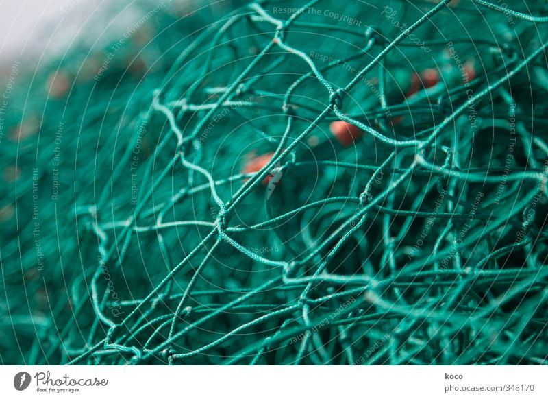 Going online? Fishing net - a Royalty Free Stock Photo from Photocase