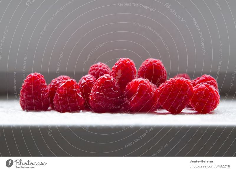 Freshly harvested raspberries: a delicacy! fruits Berries Raspberry Summer Harvest fresh fruit fresh fruits Deliciousness Delight Healthy vitamin bomb Food