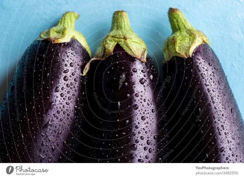 Fresh eggplants  with drops of water, close-up 3 above view agricultural agriculture aubergine bio dark diet droplets farmers market food food ingredients