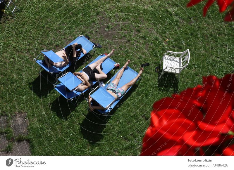 Sunbathing: three young men on three blue deckchairs Deckchair Sunlight Relaxation Couch Lie sunbathing Goof off chill masculine Cool young adults Together