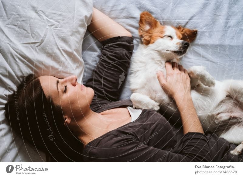 young woman and dog at home resting on bed. Love, togetherness and pets indoors sleeping love daytime caucasian jack russell stay home stay safe quarantine girl