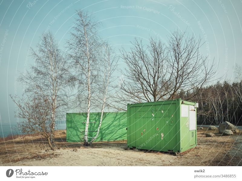 Set in the sand Container Green construction container two trees Forest Sky Lake Lausitz forest Eastern Germany Lake Bärwald stones Ground Grass Bushes Sand