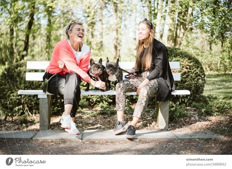 girlfriends To go for a walk dogs Friendship Together Joy Lifestyle Exterior shot Happiness Smiling people Love Family & Relations Happy Nature Park Summer