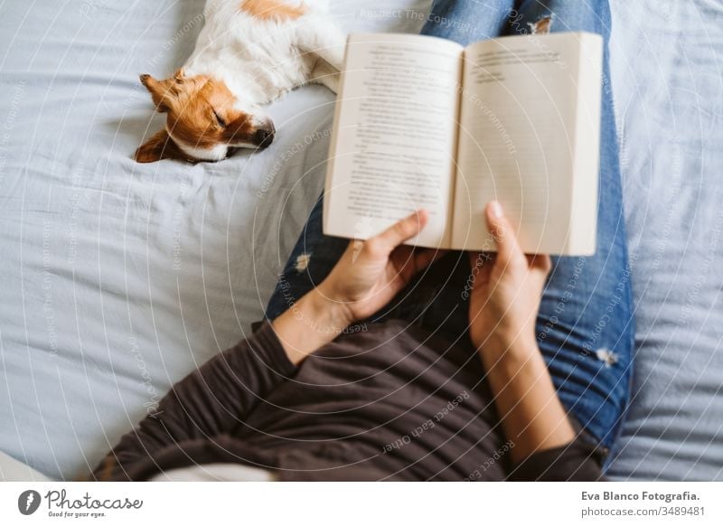 young woman and dog at home resting on bed. Love, togetherness and pets indoors. Woman reading a book. sleeping love daytime caucasian jack russell stay home