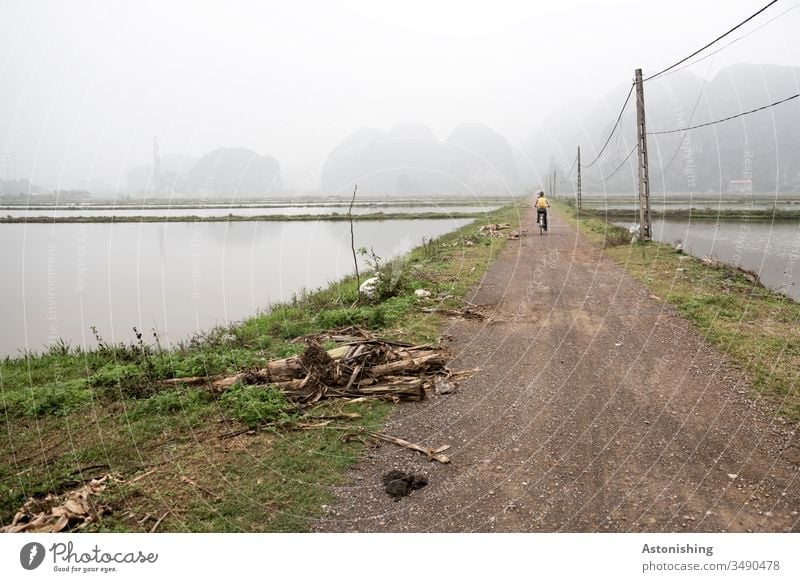 Cyclist in the fog in Ninh Binh, Vietnam Nin Binh Asia Wheel Cycling off path Culture Vacation & Travel Asian Rice rice fields Paddy field Damp Wet Water Wood