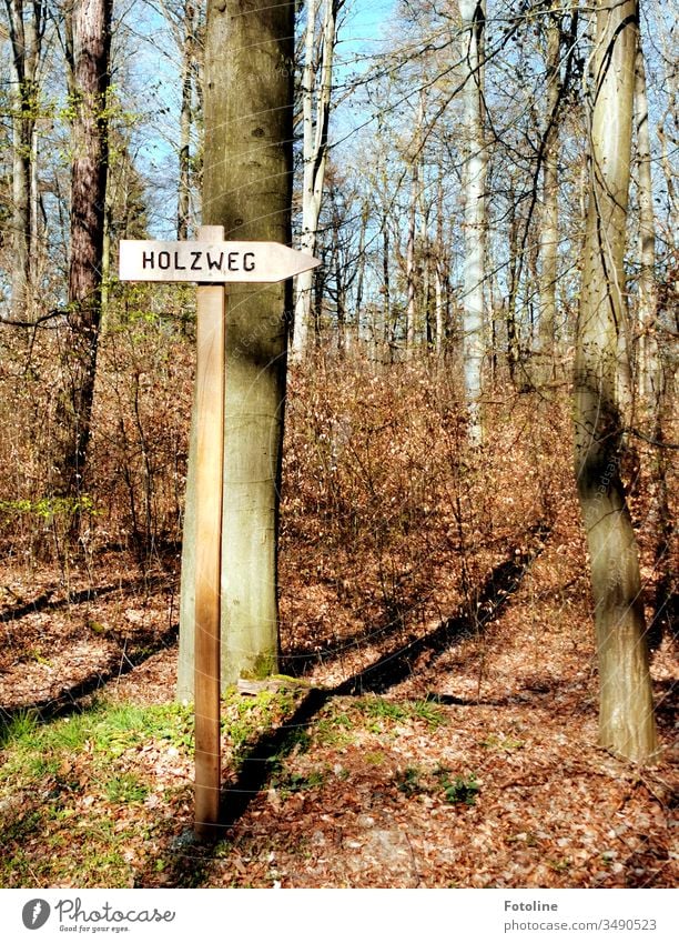 I was probably on the wrong track ;-) - or a signpost with the inscription Holzweg in a forest in spring. On the forest floor there are still the remaining autumn leaves.