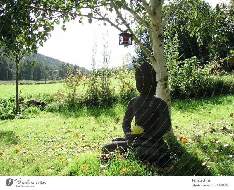 Buddha Garden Relaxation Calm Sun Sculpture Nature Tree Grass Bushes Park Meadow Stone Green Peaceful Wisdom Idyll Birch tree Statue Esotericism Buddhism