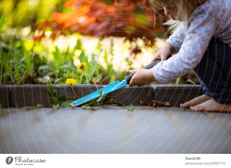 Child doing the gardening girl Garden Gardening Weed outdoing outdo sb. garden tool weeding Diligent Help upbringing Parenting Cute Lovely Copy Space bottom