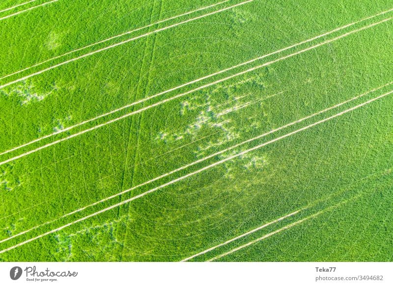an agricultural field from above agricultural way tractor tractor path field background meadow background air aerial view aerial photo texture grass farm