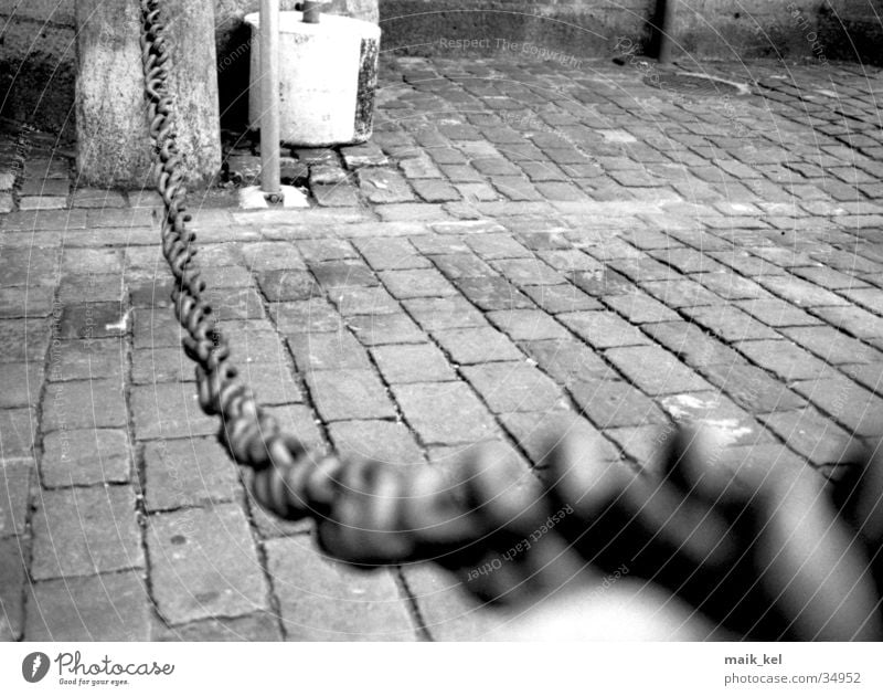 chain Border Barrier Stop Control barrier Things Chain depth blur black-and-white Limbs